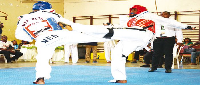 Taekwondo: Belavie et Donkel, vainqueurs Taekwondo: Belavie et Donkel, vainqueurs