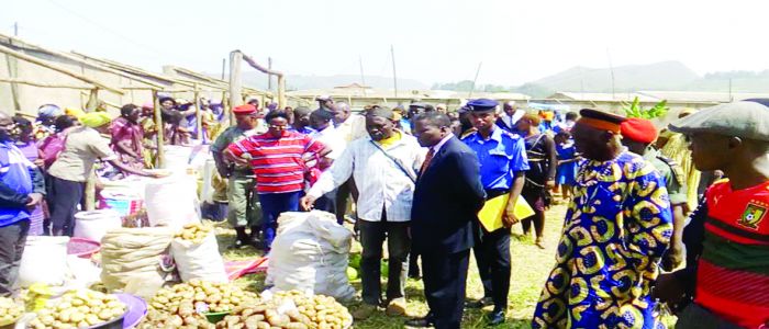 North West: Farmers Showcase Strength In Agropastoral Production North West: Farmers Showcase Strength In Agropastoral Production